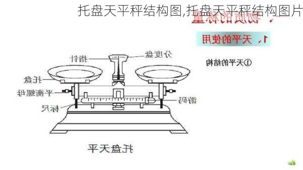 托盘天平秤结构图,托盘天平秤结构图片