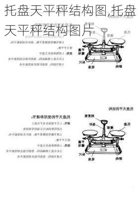 托盘天平秤结构图,托盘天平秤结构图片