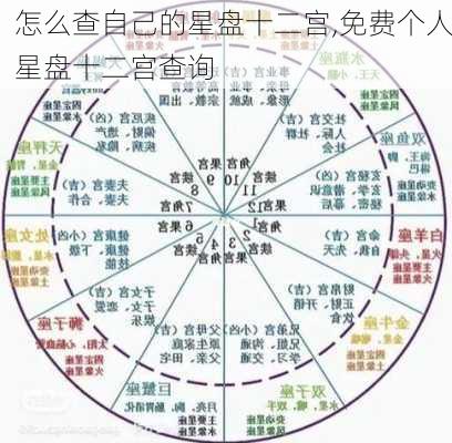 怎么查自己的星盘十二宫,免费个人星盘十二宫查询