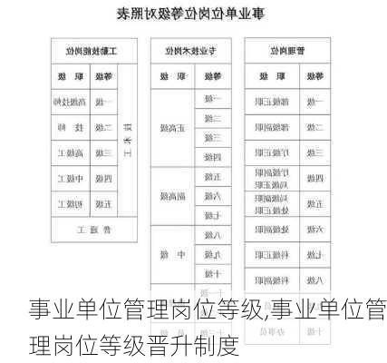 事业单位管理岗位等级,事业单位管理岗位等级晋升制度