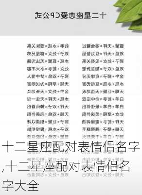 十二星座配对表情侣名字,十二星座配对表情侣名字大全