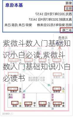 紫微斗数入门基础知识小白必读,紫微斗数入门基础知识小白必读书