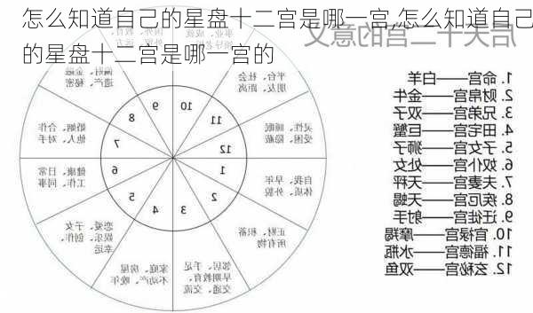 怎么知道自己的星盘十二宫是哪一宫,怎么知道自己的星盘十二宫是哪一宫的