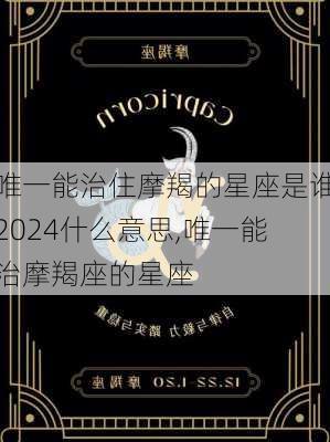 唯一能治住摩羯的星座是谁2024什么意思,唯一能治摩羯座的星座