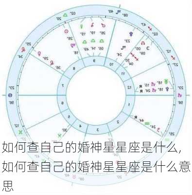 如何查自己的婚神星星座是什么,如何查自己的婚神星星座是什么意思