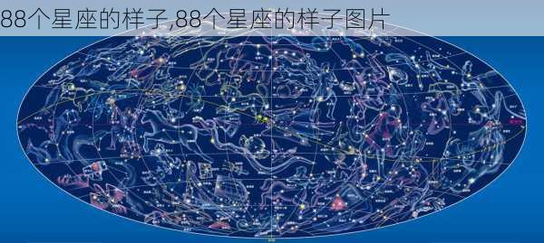 88个星座的样子,88个星座的样子图片