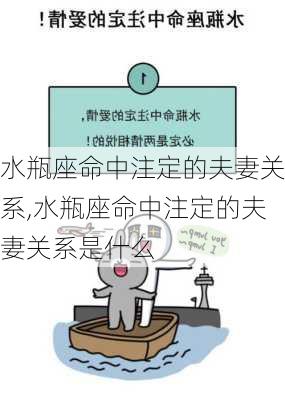 水瓶座命中注定的夫妻关系,水瓶座命中注定的夫妻关系是什么