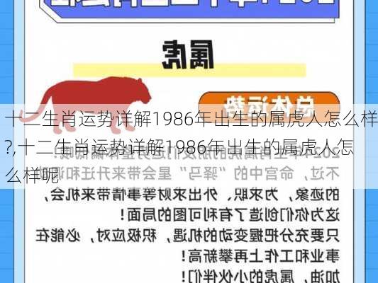 十二生肖运势详解1986年出生的属虎人怎么样?,十二生肖运势详解1986年出生的属虎人怎么样呢