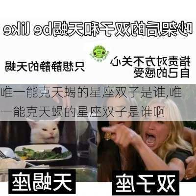 唯一能克天蝎的星座双子是谁,唯一能克天蝎的星座双子是谁啊