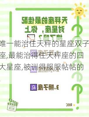 唯一能治住天秤的星座双子座,最能治得住天秤座的四大星座,被训得服服帖帖的!